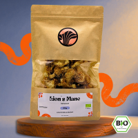 Lions Mane - Bio getrocknet 50g