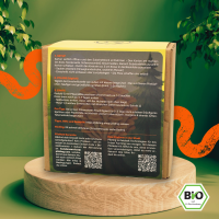 Zitronenseitling Growkit - Bio