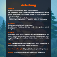 Austernseitling Growkit - Bio