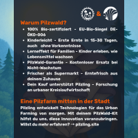 Austernseitling Growkit - Bio