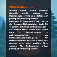 Austernseitling Growkit - Bio