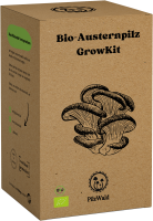 B-Ware - Growkit Bio Austernpilz