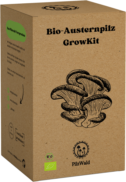 Growkit Bio Austernpilz