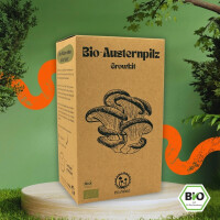 Austernpilz Bio / Growkit