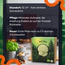 Igelstachelbart Pilzzuchtset – Standort und Pflege