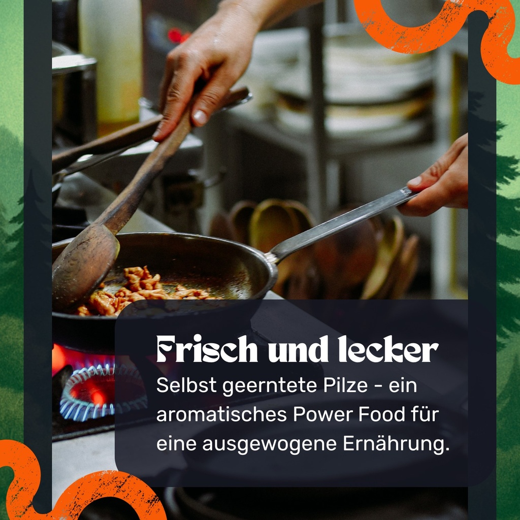 Igelstachelbart Pilzzuchtset – In der Küche