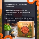 Rosenseitling Pilzzuchtset – Standort und Pflege