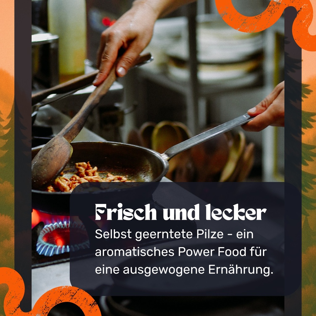 Rosenseitling Pilzzuchtset – In der Küche