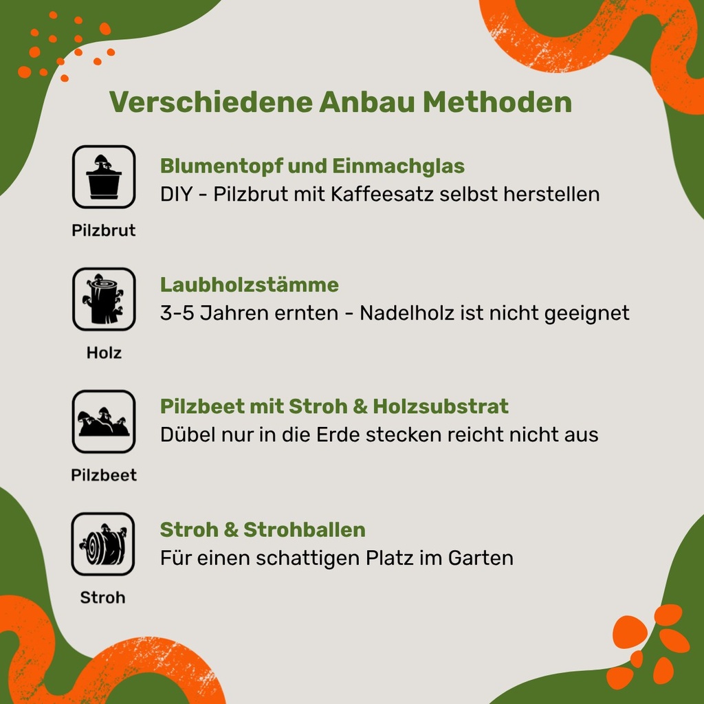 Pilzdübel Austernpilz – Anbau-Methoden