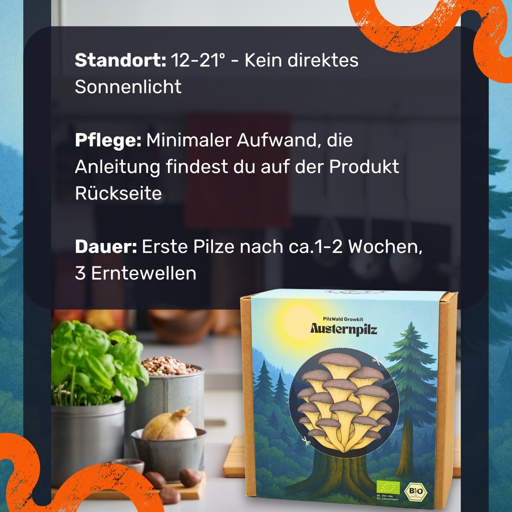 Austernpilz Pilzzuchtset – Standort und Pflege