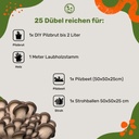 Pilzdübel Austernpilz – 25 Dübel reichen für