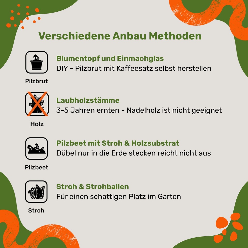 Pilzdübel Kräuterseitling – Anbau-Methoden