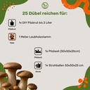 Pilzdübel Kräuterseitling – 25 Dübel reichen für