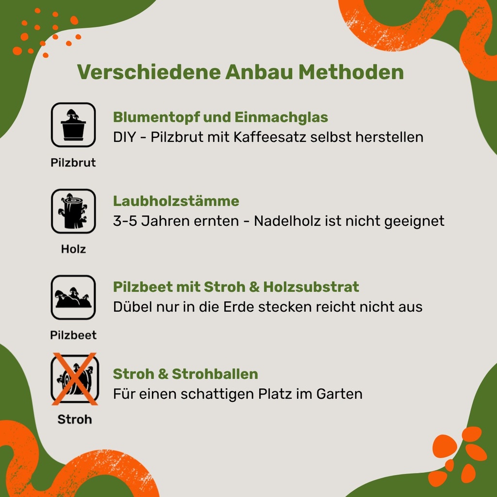 Pilzdübel Shiitake – Anbau-Methoden
