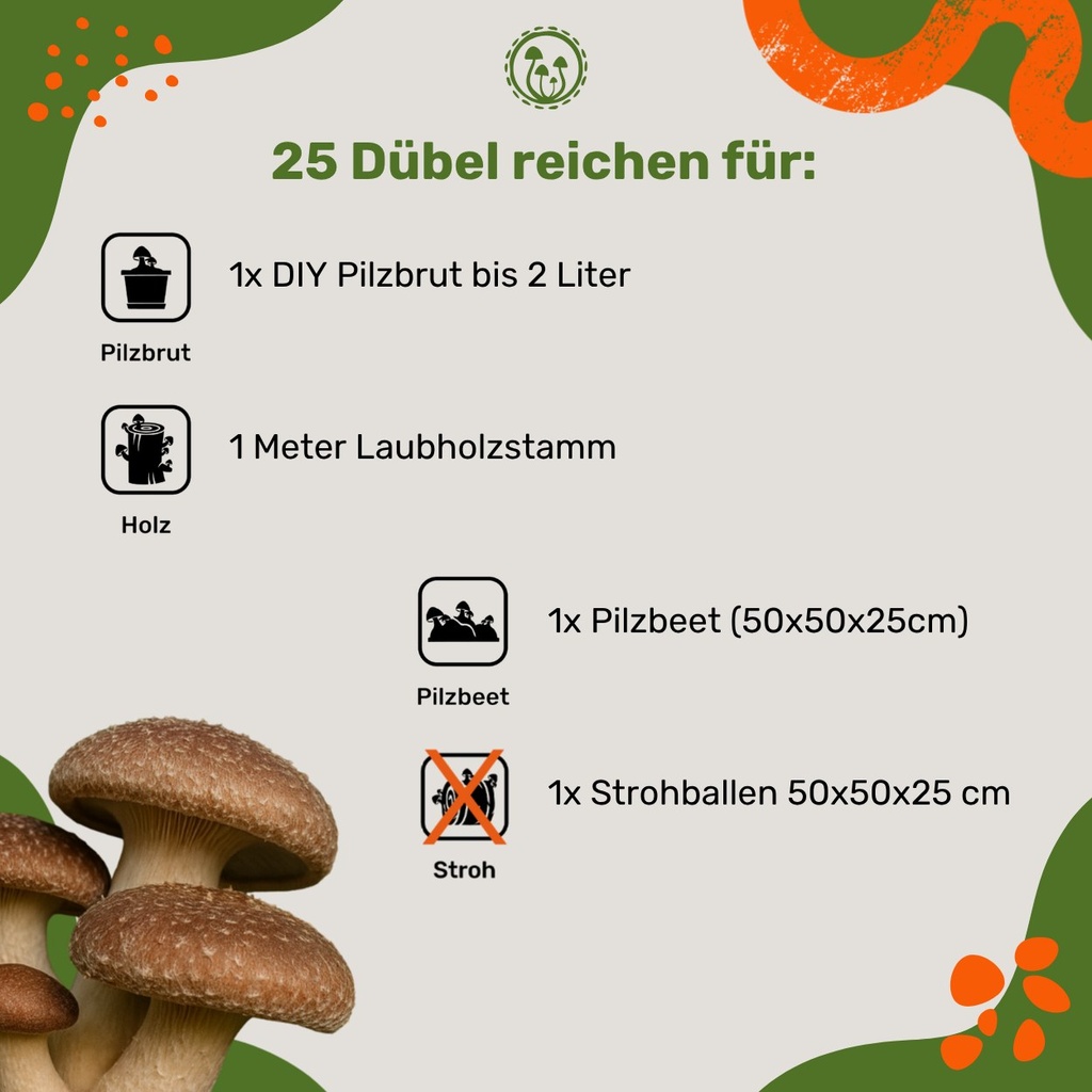 Pilzdübel Shiitake – 25 Dübel reichen für