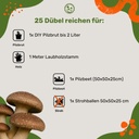 Pilzdübel Shiitake – 25 Dübel reichen für