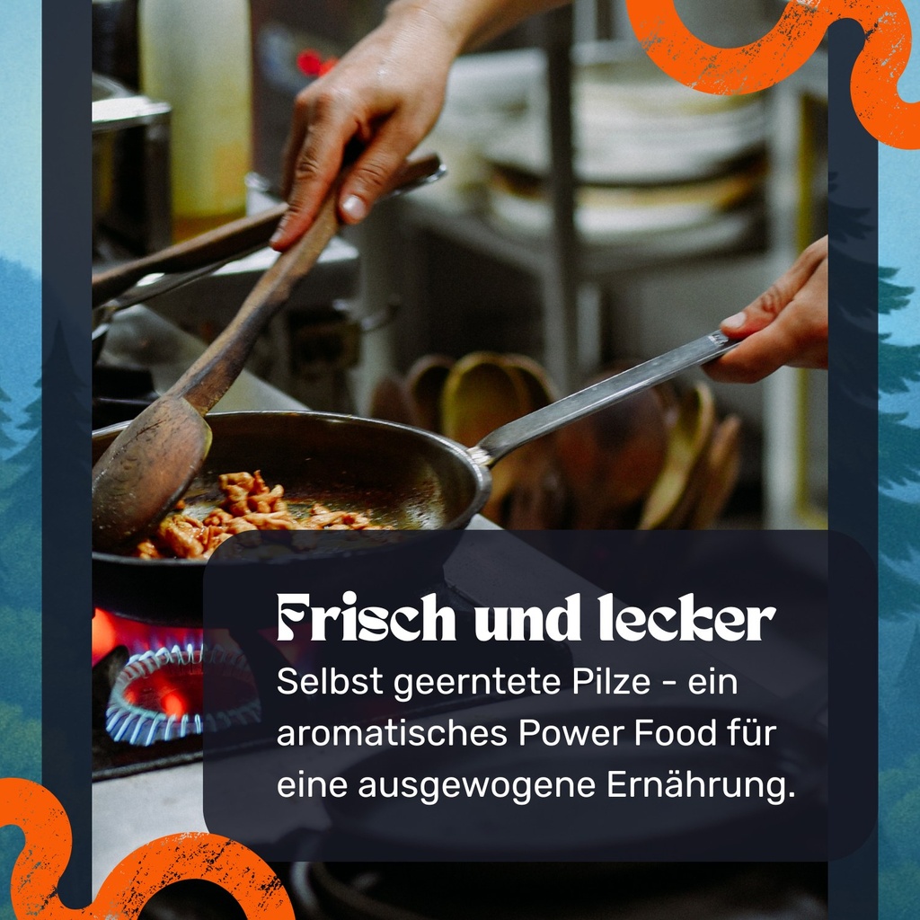 Austernpilz Pilzzuchtset – In der Küche