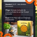 Zitronenseitling Pilzzuchtset – Standort und Pflege