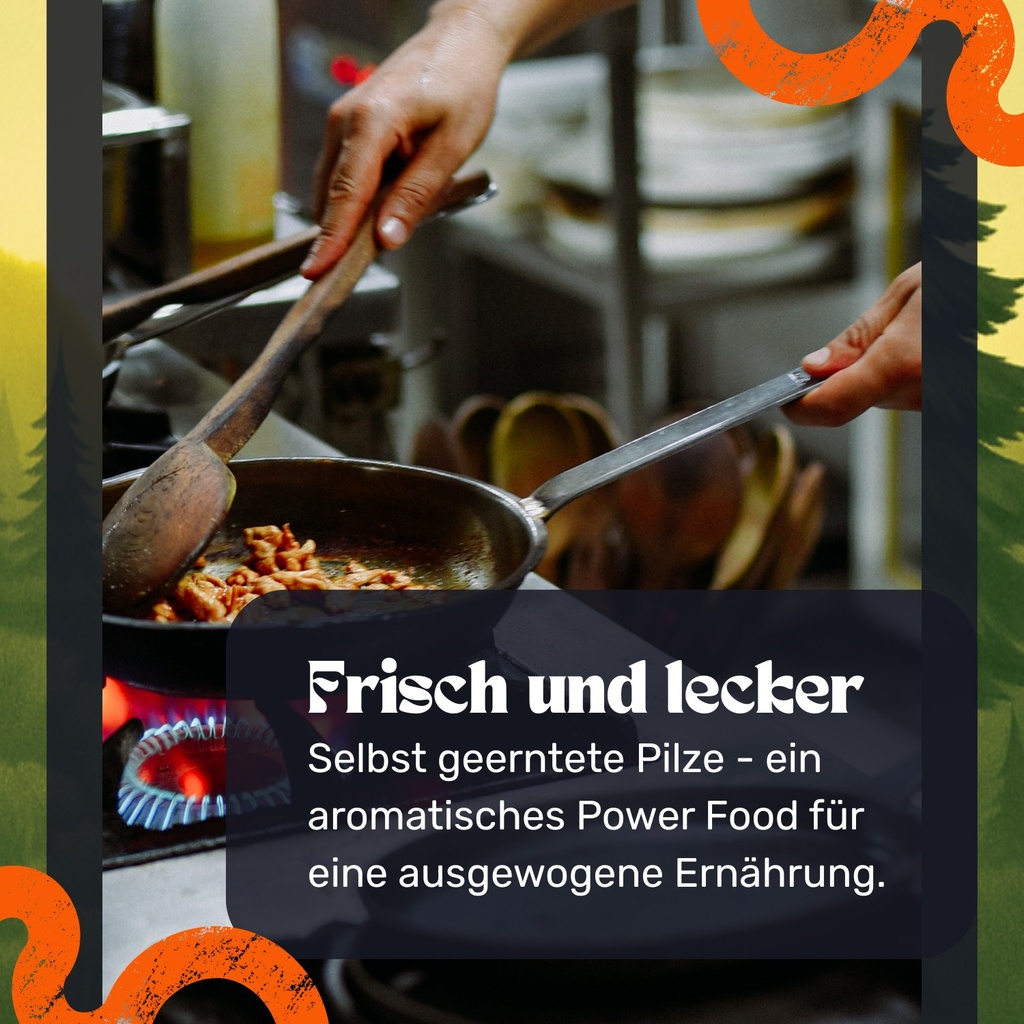 Zitronenseitling Pilzzuchtset – In der Küche