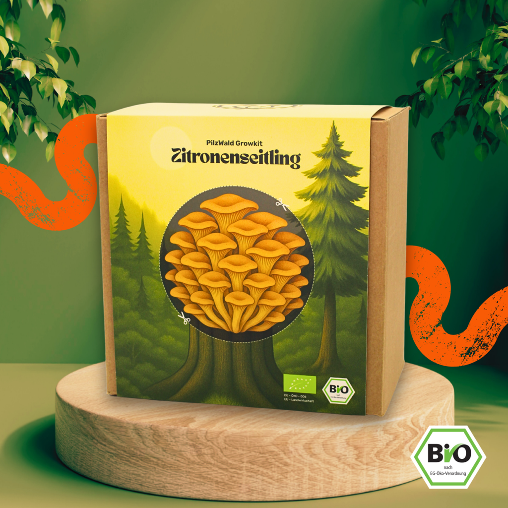 [ART-PW-GK-ZIT-STD] Zitronenseitling Pilzzuchtset – Bio
