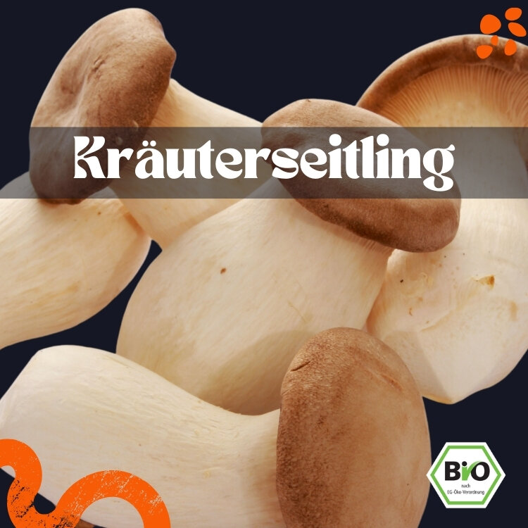 [ART-PL-FP-KRA] Kräuterseitling frisch – Bio