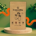 Pilzdübel Kräuterseitling – Bio