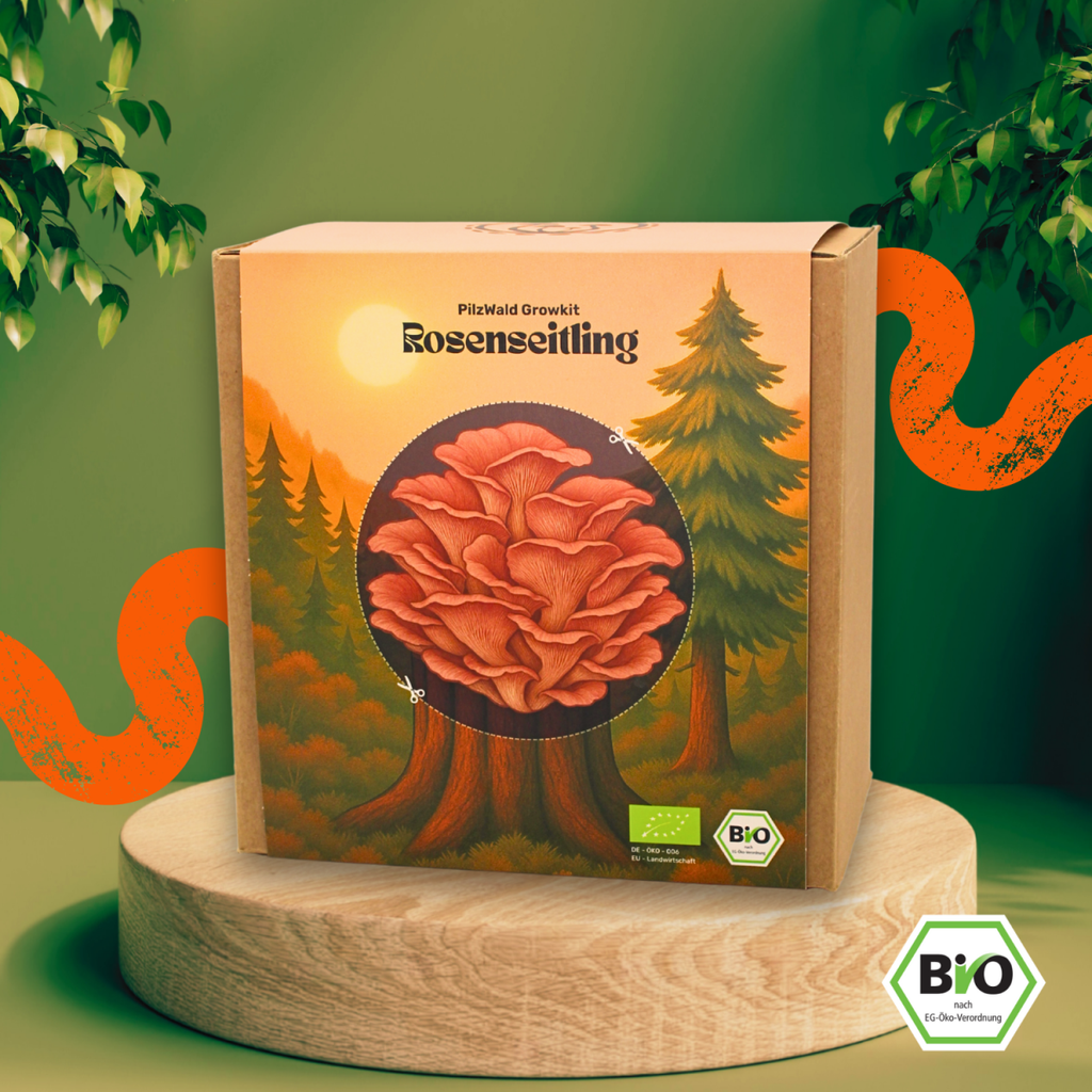 [ART-PW-GK-ROS-STD] Rosenseitling Pilzzuchtset – Bio