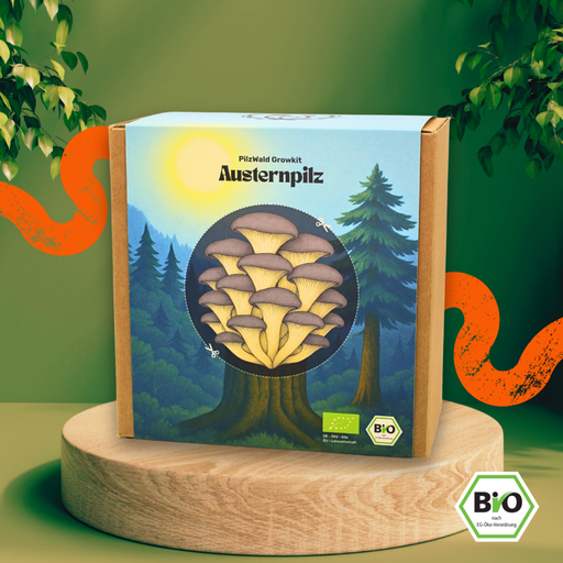 Bio-Pilzzuchtset Austernpilz von PilzWald, fertig besiedelt