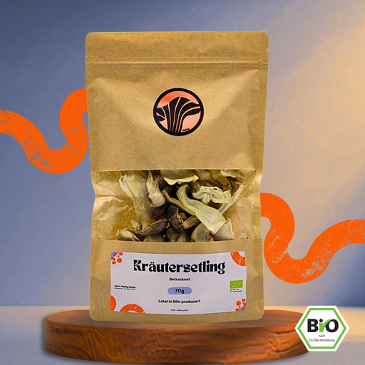 Kräuterseitling getrocknet – Bio