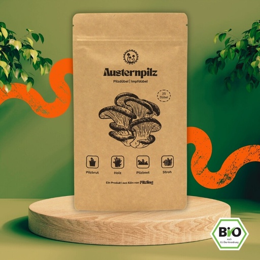 Pilzdübel Austernpilz – Bio