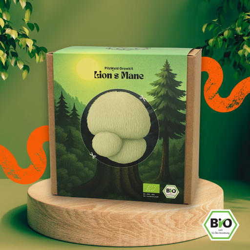 Igelstachelbart (Lion's Mane) Pilzzuchtset – Bio